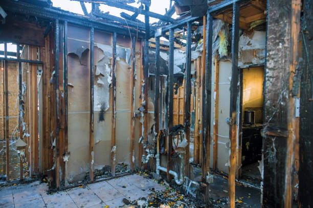 Professional Fire Damage Removal technician working in Clarksdale, MS